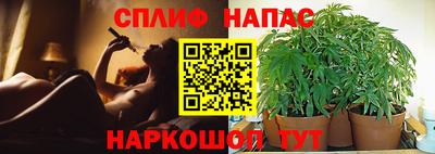 гашиш Славянск-на-Кубани