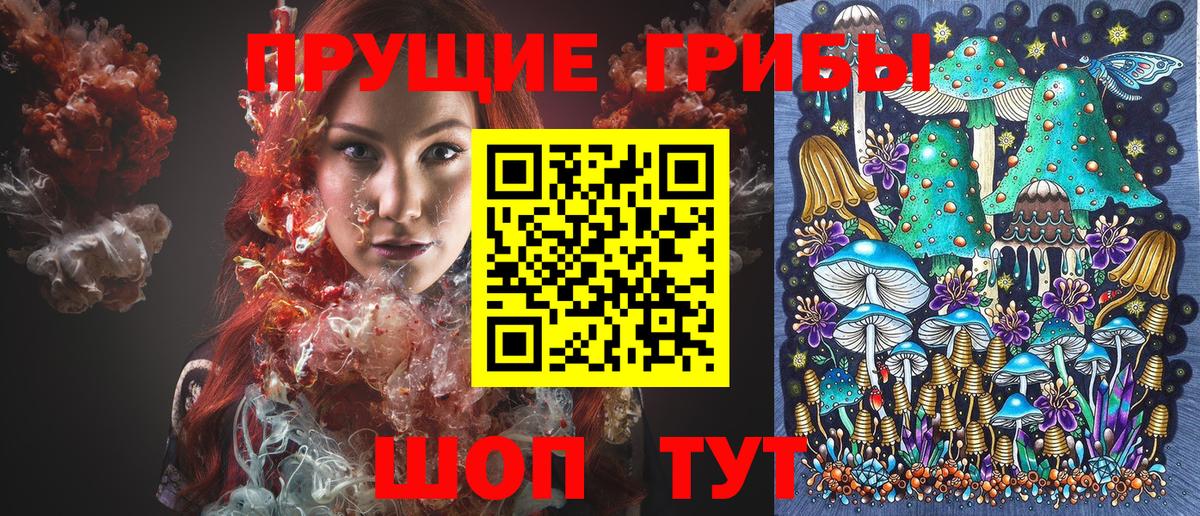Псилоцибиновые грибы Cubensis  Вход с VPN  как найти   Можайск 